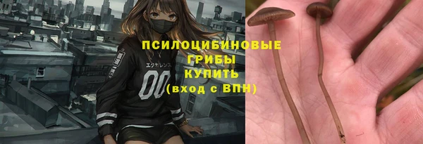 соль ск Гусиноозёрск