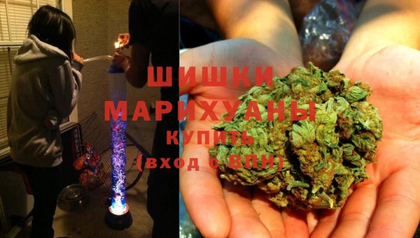 бошки Гусь-Хрустальный