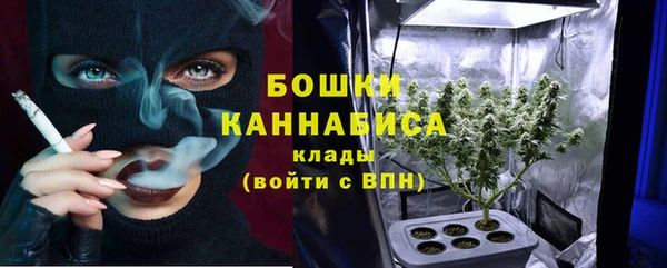 ECSTASY Гусев