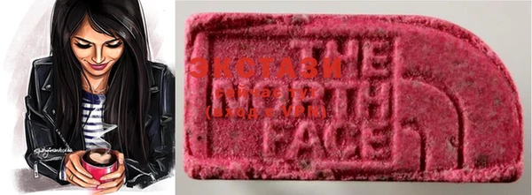 ECSTASY Гусев