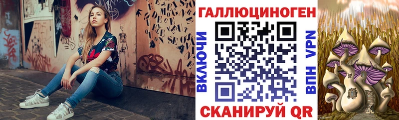 Галлюциногенные грибы Magic Shrooms  что такое   Могоча 
